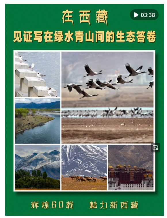 恒盛策略 辉煌60载 魅力新西藏｜在西藏 见证写在绿水青山间的生态答卷_大皖新闻 | 安徽网