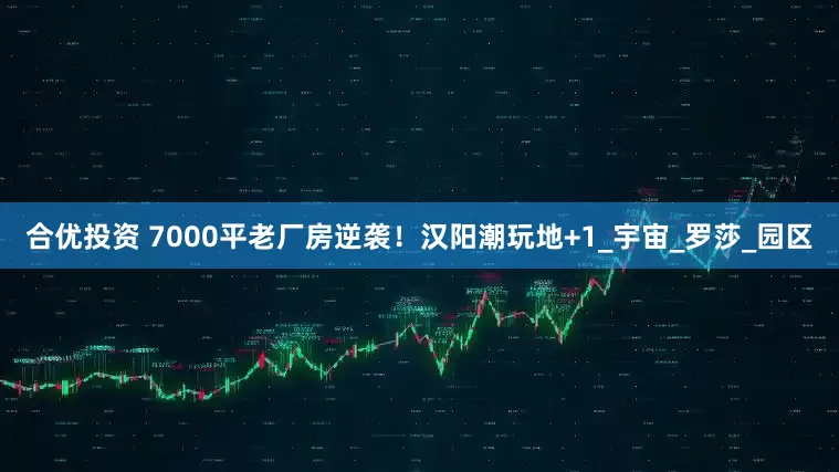 合优投资 7000平老厂房逆袭！汉阳潮玩地+1_宇宙_罗莎_园区