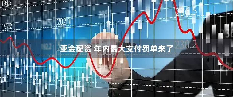 亚金配资 年内最大支付罚单来了